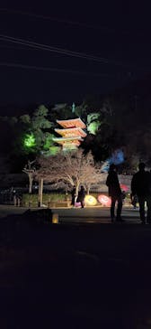 ぎふ灯り物語 ２０２６に投稿された画像（2025/1/25）