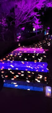 ぎふ灯り物語 ２０２６に投稿された画像（2025/1/25）