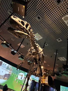 国立科学博物館に投稿された画像（2025/1/25）