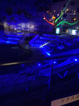 万博記念公園に投稿された画像（2025/1/25）