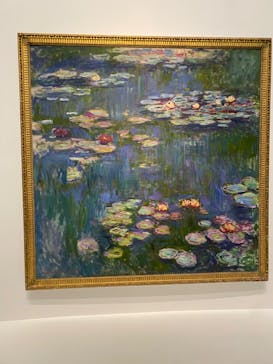 モネ 睡蓮のとき（国立西洋美術館）に投稿された画像（2025/1/25）