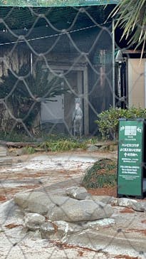 恩賜上野動物園に投稿された画像（2025/1/25）
