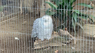 恩賜上野動物園に投稿された画像（2025/1/25）