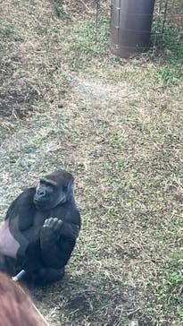 恩賜上野動物園に投稿された画像（2025/1/25）