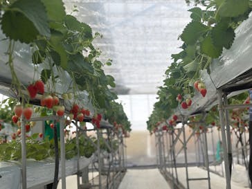 株式会社こまち野に投稿された画像（2025/1/25）