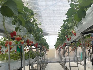 株式会社こまち野に投稿された画像（2025/1/25）