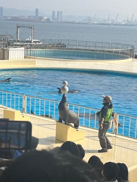 マリンワールド海の中道に投稿された画像（2025/1/25）
