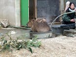 東武動物公園に投稿された画像（2025/1/25）
