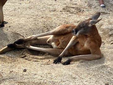東武動物公園に投稿された画像（2025/1/25）