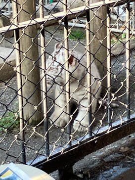 東武動物公園に投稿された画像（2025/1/25）
