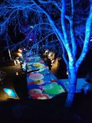 ぎふ灯り物語 ２０２６に投稿された画像（2025/1/25）