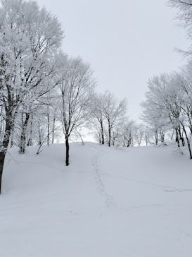 六日町八海山スキー場に投稿された画像（2025/1/25）