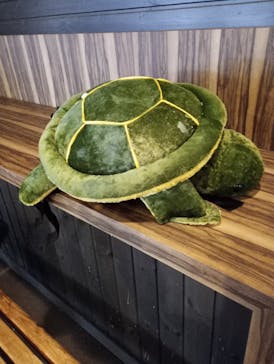 星野リゾート　トマムスキー場に投稿された画像（2025/1/25）