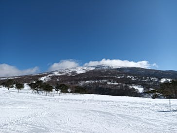 菅平高原スノーリゾートに投稿された画像（2025/1/25）