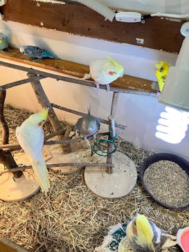 アニタッチPARKイオンモール太田に投稿された画像（2025/1/25）