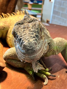 アニタッチPARKイオンモール太田に投稿された画像（2025/1/25）