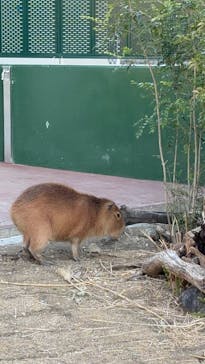 竹島水族館に投稿された画像（2025/1/25）