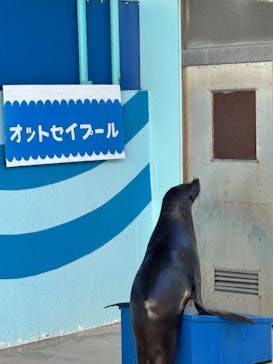 竹島水族館に投稿された画像（2025/1/25）