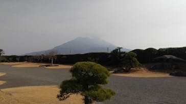 仙巌園に投稿された画像（2025/1/25）