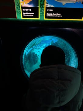 レゴランドⓇ・ジャパン・リゾートに投稿された画像（2025/1/25）