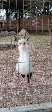 千葉市動物公園に投稿された画像（2025/1/25）