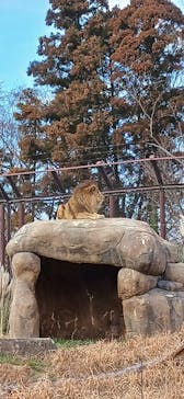 千葉市動物公園に投稿された画像（2025/1/25）