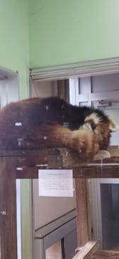 千葉市動物公園に投稿された画像（2025/1/25）