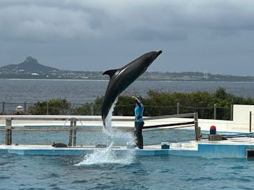 沖縄美ら海水族館に投稿された画像（2025/1/25）