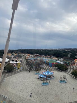 国営ひたち海浜公園プレジャーガーデンに投稿された画像（2025/1/25）