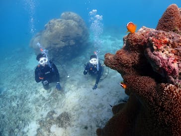 初心者専門マリンサービスサンフィッシュ石垣島に投稿された画像（2025/1/25）