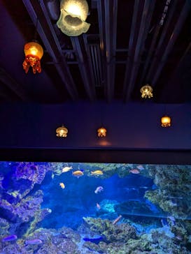 京都水族館に投稿された画像（2025/1/25）