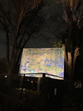 モネ 睡蓮のとき（国立西洋美術館）に投稿された画像（2025/1/25）