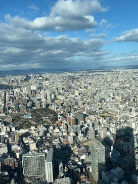 ハルカス300(展望台)に投稿された画像（2025/1/25）