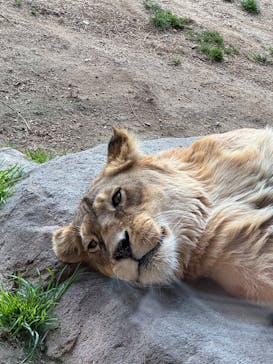 天王寺動物園に投稿された画像（2025/1/25）