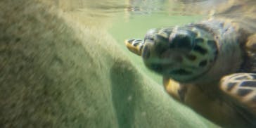 マリンワールド海の中道に投稿された画像（2025/1/25）