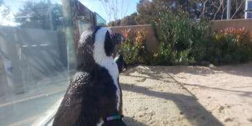 マリンワールド海の中道に投稿された画像（2025/1/25）