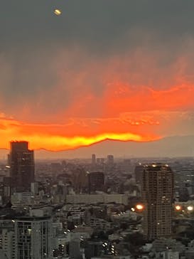 東京タワーに投稿された画像（2024/12/31）