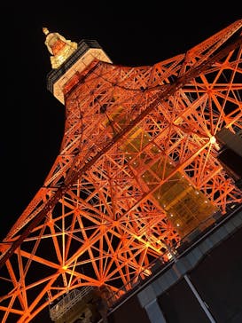東京タワーに投稿された画像（2024/12/31）