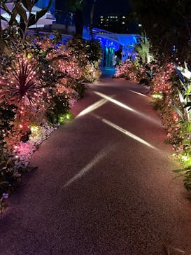 サンシャイン水族館に投稿された画像（2024/12/31）