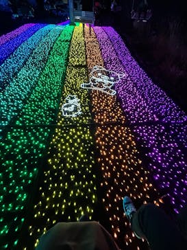 さがみ湖MORI MORIに投稿された画像（2025/1/25）