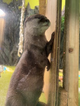 竹島水族館に投稿された画像（2025/1/25）