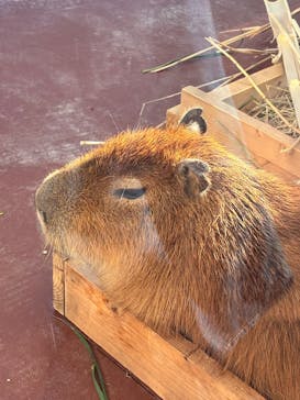 竹島水族館に投稿された画像（2025/1/25）