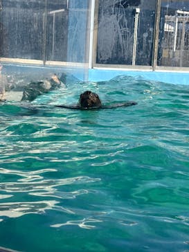 竹島水族館に投稿された画像（2025/1/25）