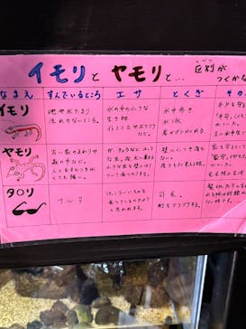 竹島水族館に投稿された画像（2025/1/25）