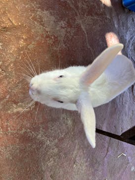 那須ワールドモンキーパークに投稿された画像（2025/1/25）