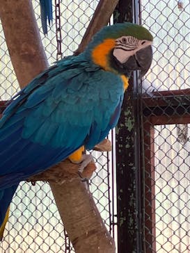 那須ワールドモンキーパークに投稿された画像（2025/1/25）