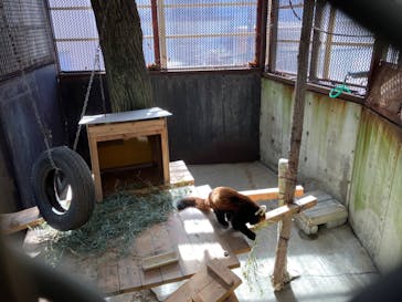 那須ワールドモンキーパークに投稿された画像（2025/1/25）