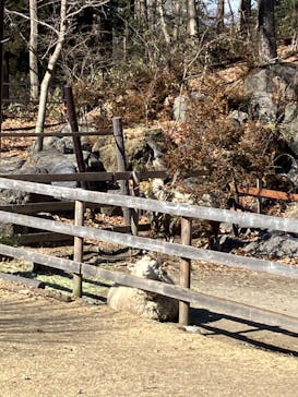 那須ワールドモンキーパークに投稿された画像（2025/1/25）