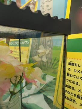 浅草花やしきに投稿された画像（2025/1/25）