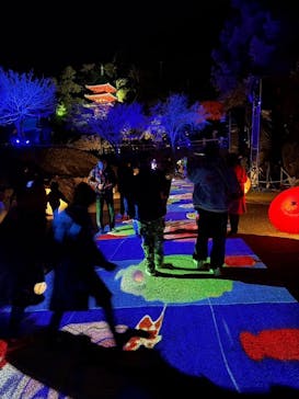 ぎふ灯り物語 ２０２６に投稿された画像（2025/1/25）